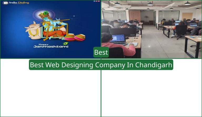 Best Web Designing Company In Chandigarh