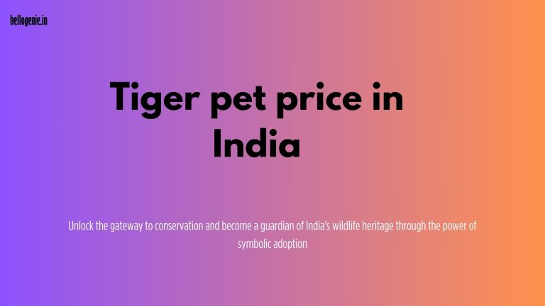 Tiger pet price in india